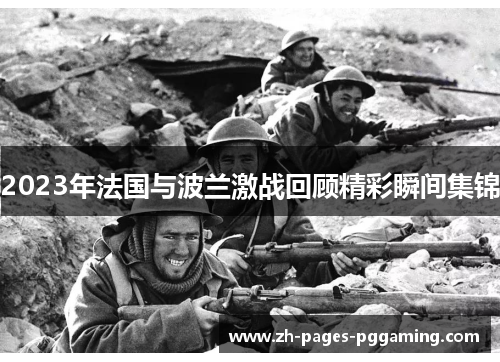 2023年法国与波兰激战回顾精彩瞬间集锦